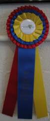 Ribbon - Boots Ribbon Best in Show
