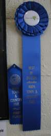 Ribbon - Boots Ribbons 1st Place and 1st in Division